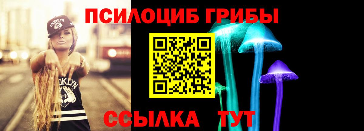 Псилоцибиновые грибы Cubensis  где найти   Зеленогорск  Вход с VPN 